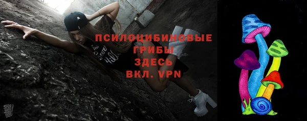 а пвп мука Алзамай