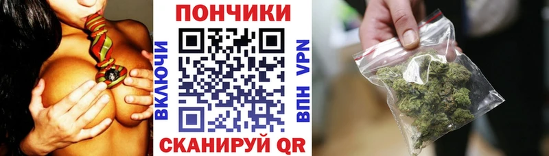 Купить закладки  Северобайкальск  Бошки Шишки Ganja 
