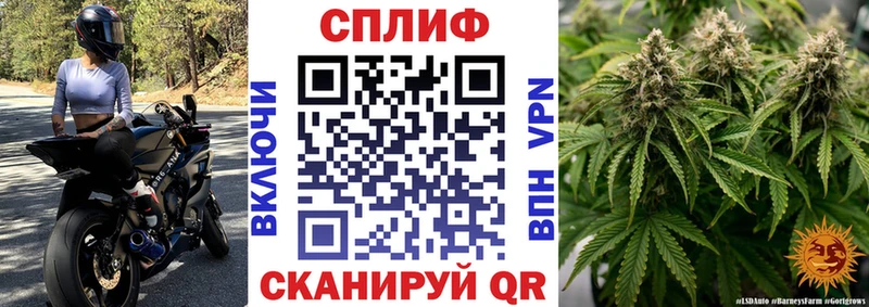 Марихуана конопля Северобайкальск